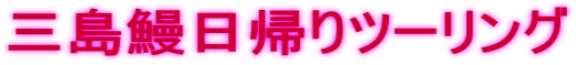 三島鰻日帰りツーリング